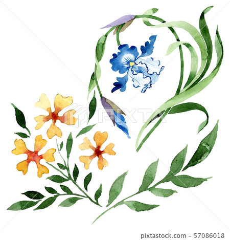 Ornament floral botanical flowers. Watercolor background illustration set. Isolated flower 57086018