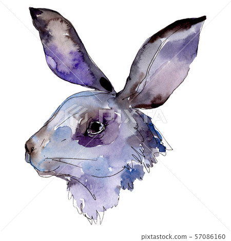 Rabbit head farm animal isolated. Watercolor background illustration set. Isolated rabbit Rabbit head farm animal isolated. Watercolor background illustration set. Isolated rabbit 57086160