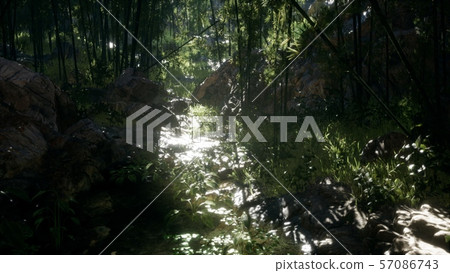 Lush green leaves of bamboo near the shore of a Lush green leaves of bamboo near the shore of a 57086743