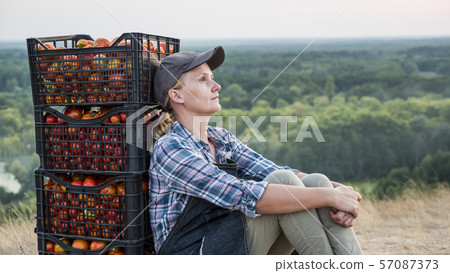 Woman farmer resting after work, sitting near boxes with tomatoes Woman farmer resting after work, sitting near boxes with tomatoes 57087373
