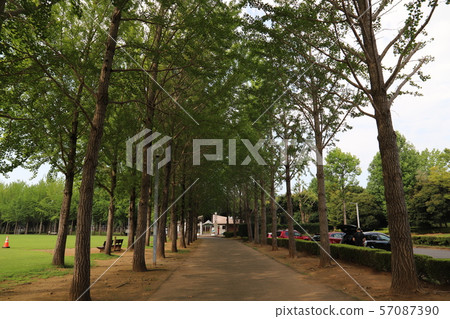 科學博覽會紀念公園(茨城縣) 科學博覽會紀念公園(茨城縣) 57087390