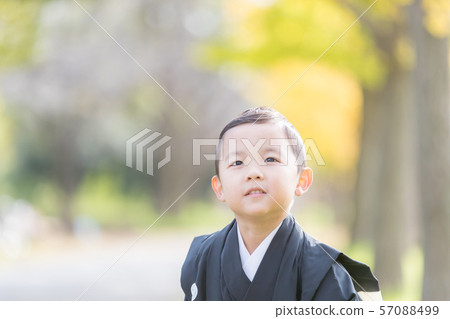七五三 男生 男 57088499