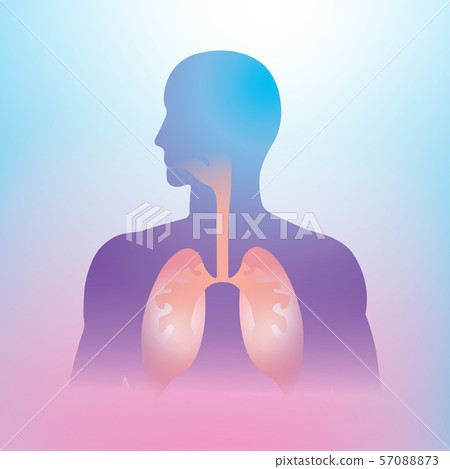 The human needs water and body temperature In the 57088873