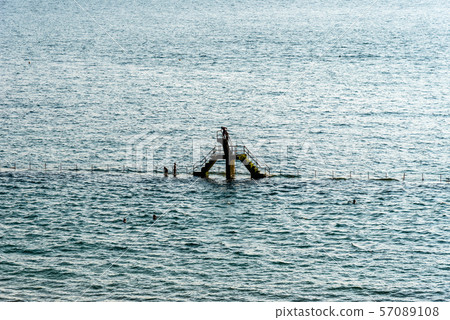 People jumping from the trampoline in swimming pool at the beach of Saint Malo 57089108