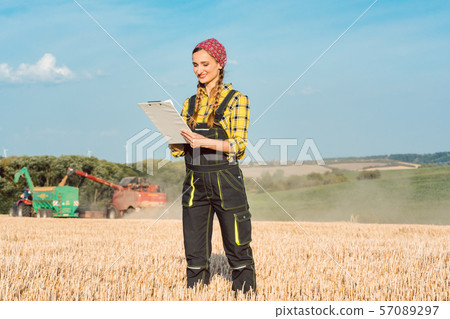 Farmer on the wheat field doing bookkeeping on the ongoing harvest Farmer on the wheat field doing bookkeeping on the ongoing harvest 57089297