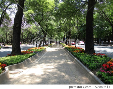 A promenade 57089514