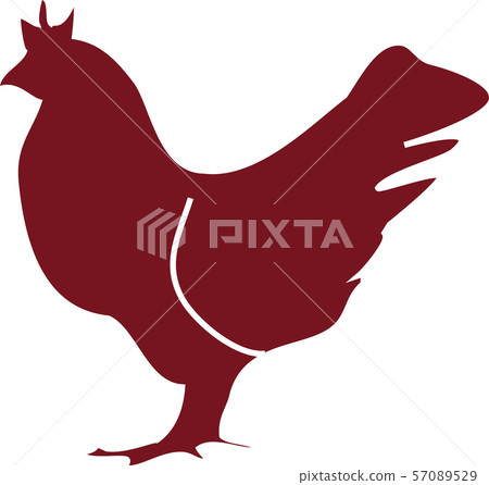 Chicken illustration 57089529
