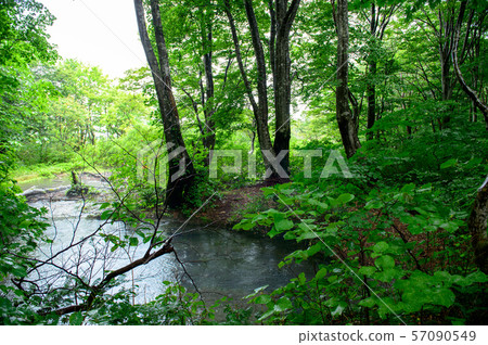 Spring pond "Detsubo" Rainy Shishigana Marsh Akita Prefecture 57090549