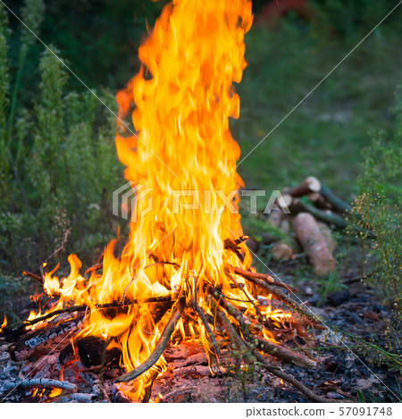 Bonfire in the forest 57091748