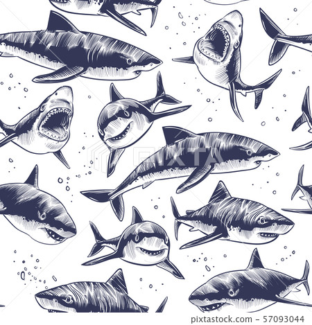 Sharks seamless pattern. Hand drawn underwater sea fish nautical japanese background 57093044