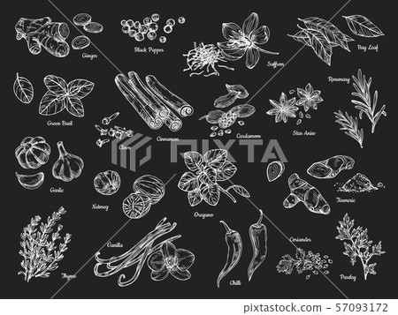 Vintage sketch spices and herbs. Hand drawn culinary ingredients, food herbs on blackboard vector 57093172