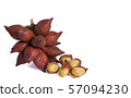 The fruit is salacca 57094230