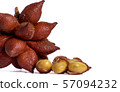 The fruit is salacca 57094232