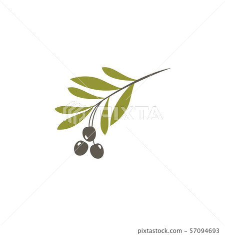 olive icon vector illustration olive icon vector illustration 57094693