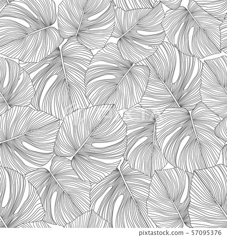 Monochrome monstera leaves seamless pattern. Monochrome monstera leaves seamless pattern. 57095376
