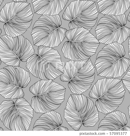 Monochrome monstera leaves seamless pattern. 57095377