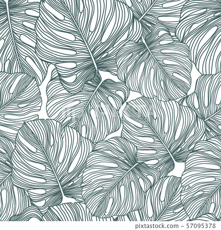 Tropical monstera leaves seamless pattern. 57095378