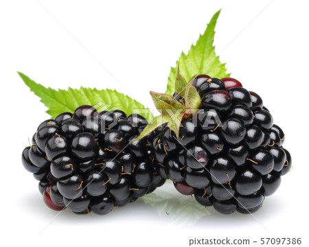 Fresh blackberry with leaf isolated on white 57097386