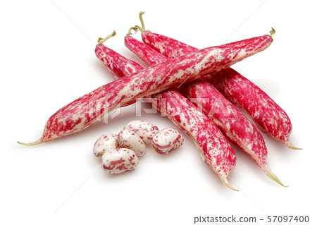 Fresh pinto beans isolated on white Fresh pinto beans isolated on white 57097400