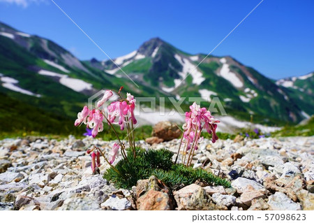 Komkusa and Asahidake 57098623