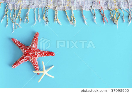 Starfishes on blue background with free space for Starfishes on blue background with free space for 57098900