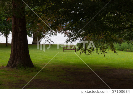 Scenic view of bench and lake via more tree branches in Loch Lomond, Scotland Scenic view of bench and lake via more tree branches in Loch Lomond, Scotland 57100684