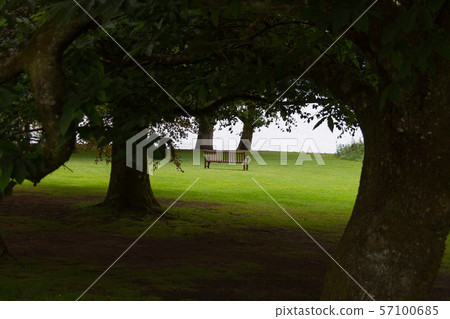 Scenic view of bench and lake via tree branches in Loch Lomond, Scotland 57100685
