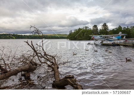 Cut tree branches and hydroplane in lake Loch Lomond, Scotland Cut tree branches and hydroplane in lake Loch Lomond, Scotland 57100687
