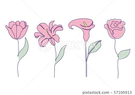 Set of flowers - Stock Illustration [57100913] - PIXTA