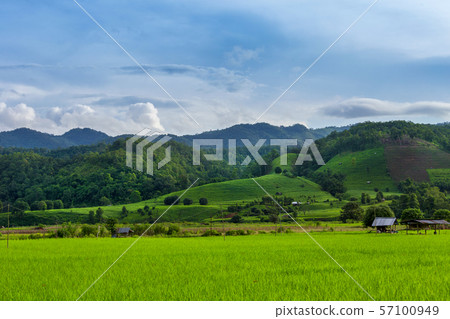 Landscape of rice field and mountains view in 57100949
