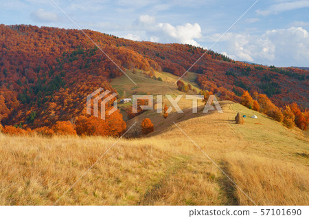 Autumn landscape in the countryside Autumn landscape in the countryside 57101690