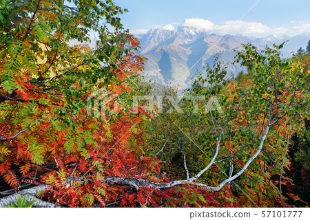 Autumn landscape in the mountains Autumn landscape in the mountains 57101777