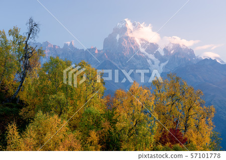 Autumn Landscape with birch forest and mountain Autumn Landscape with birch forest and mountain 57101778