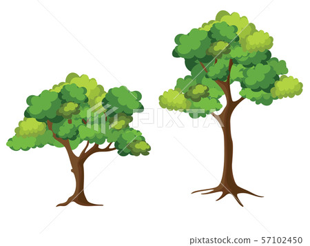 Collection of trees on white background. Cartoon of trees. 57102450