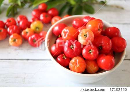 Acerola Acerola 57102560