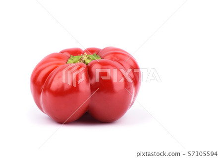 Fresh red sweet pepper varieties Gogoshar isolated Fresh red sweet pepper varieties Gogoshar isolated 57105594