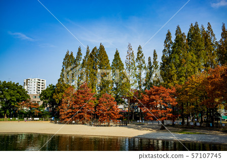 Sakuranomiya公園在深秋 Sakuranomiya公園在深秋 57107745