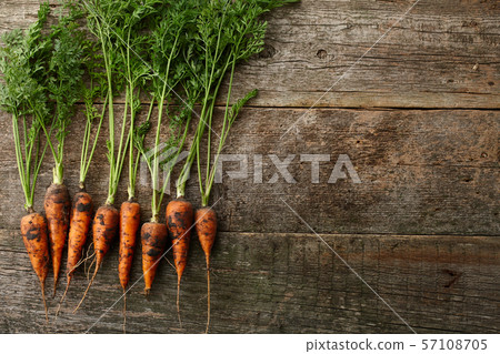 Bunch of fresh carrots with greens on planks 57108705