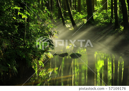 Ushidogawa河在夏天 57109176