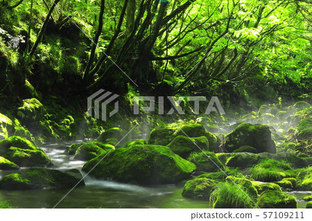 Summer former waterfall underwater water Summer former waterfall underwater water 57109211