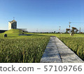 Meadows facing the sky, cathedrals and paths on hills 57109766
