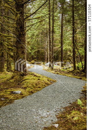 Path Enroute Mendenhall Glacier 57110304