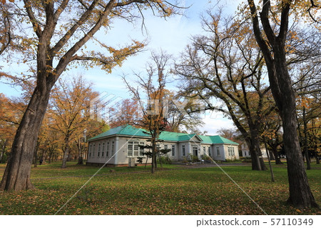 北海道札幌秋季北海道大學前昆蟲學和蠶桑類 57110349