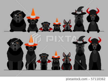 Halloween dog border 57110362