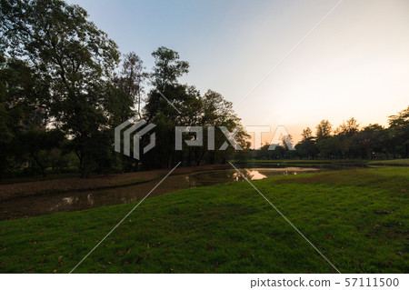 Sunset in city public park with tree Sunset in city public park with tree 57111500