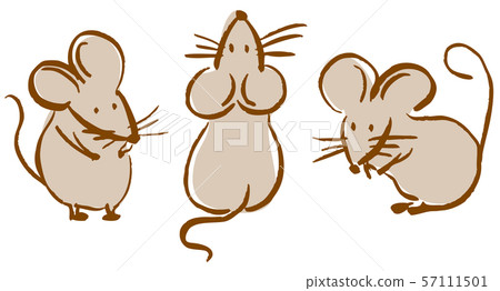 Mouse illustration 57111501