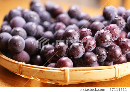 Grape of grape Grape of grape 57111511