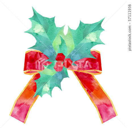 冬青插圖1 冬青插圖1 57111936