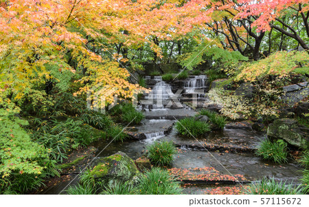 Kokoen, traditional Japanese garden  during autumn 57115672
