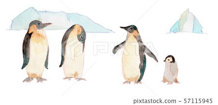Penguin and iceberg watercolor 57115945